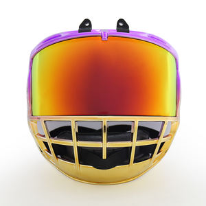 <span class=keywords><strong>Cage</strong></span> de hockey sur glace junior Masque de hockey sur glace en polycarbonate de haute qualité à l'intérieur <span class=keywords><strong>Cage</strong></span> de hockey anti-buée à l'extérieur anti-rayures - Product Image 1