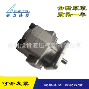 Pompe à engrenages Rexpower RGP-2A-F02R F03 F04 F05 F06 F08 F09 F11 F12R – Pompe hydraulique électrique quantitative à montage sur bride - Product Image 2
