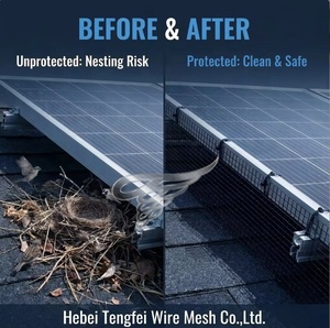 1.5mm Heavy Duty Vinyl Black PVC Coated Galvanized Steel Welded <strong>Wire</strong> <strong>Mesh</strong> 6"x100ft Solar Panel Bird Deterrent Critter Guard - Product Image 3