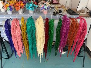 Bảo Quản Hoa Treo Hạt Những Người Yêu Thích Nước Mắt Khô <span class=keywords><strong>Amaranth</strong></span> Lá <span class=keywords><strong>Amaranth</strong></span> Caudatus Amaranthus Cho Đám Cưới Trang Trí Nội Thất - Product Image 5