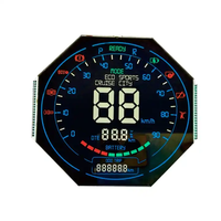 Fabrikneues kundenspezifisches Segment-LCD-Display, hochwertiges Form-Display, fahrzeugmontiertes LCD-Display, Motorrad-LCD-Modul