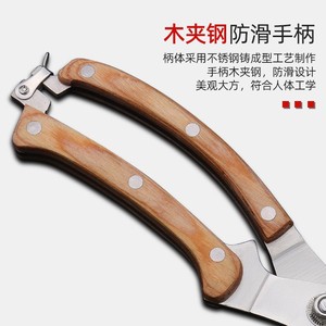 Sécateur Guanglong Works, lame en acier allié de 45 mm, forme de bec, outil de jardinage - Product Image 3