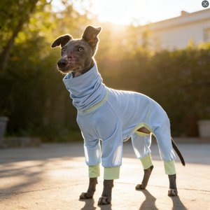 Ropa para <span class=keywords><strong>Perros</strong></span> Titancore, Nuevo Estilo, Protección UV, Diseño Transpirable, Cuatro Patas, Cuello Alto, Protección Solar para <span class=keywords><strong>Razas</strong></span> Grandes - Product Image 6