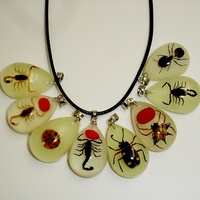 Collier tendance en plastique avec spécimen d'insecte naturel, pendentif lumineux en forme d'insecte, chaîne en corde, vente directe fabricant