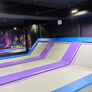 Equipo <span class=keywords><strong>de</strong></span> deportes extremos interior plástico PVC personalizado salto Ninja Warrior carrera <span class=keywords><strong>de</strong></span> obstáculos Warrior Parkour trampolín <span class=keywords><strong>Parque</strong></span> - Product Image 5