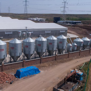 Solutions modernes de ventilation et de logement pour porcherie à grande et à petite échelle Nouvelles cages pour animaux en bonne santé - Product Image 2