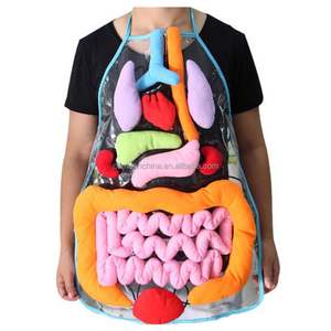 Tablier d'anatomie corporelle Delantal De Anatomia De Organos Tablier d'organe 3D Tablier d'anatomie pour enfants Jouet éducatif de sensibilisation aux organes du corps humain - Product Image 1