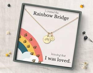 Collier pendentif en forme de pont arc-en-ciel, collier personnalisé avec lettres de chien, bijou cadeau ami, en or argent et Rose - Product Image 1