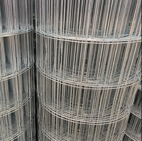 Rouleaux de Grillage Soudé Galvanisé Robuste pour Clôture de Chantier, Volière et Jardinières