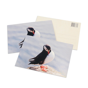 Tamaño estándar 148*115mm 105*140mm <span class=keywords><strong>Tarjeta</strong></span> <span class=keywords><strong>de</strong></span> recuerdo escénica turística Postal <span class=keywords><strong>de</strong></span> papel <span class=keywords><strong>de</strong></span> arte ecológica - Product Image 4