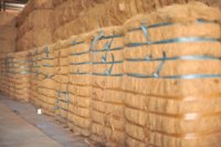 Bales de fibres de coco naturelles de haute qualité, longueur 5-25 cm, matériau écologique pour canapé, matelas, coussin, support de plantes, artisanat