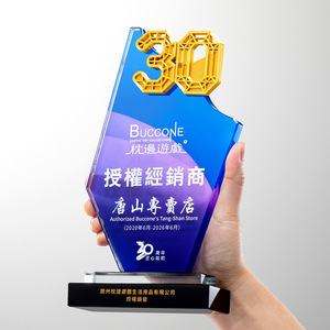 Crystal <b>Trophy</b> Laser <b>Engraved</b> 23x12x4.5cm Durable Corporate Award Conference Souvenir - Product Image 5