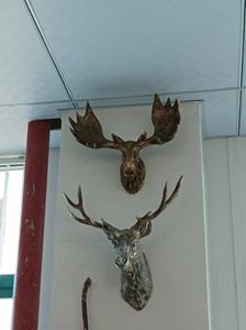 Support mural en résine personnalisé, tête de cerf créative, tentures murales géométriques 3D, fausse tête de cerf pour salon, tête de cerf nordique moyenne - Product Image 6