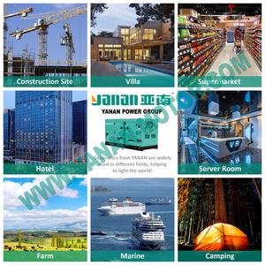 브랜드 디젤 발전기 20kw 25kw 전력 휴대용 발전기 20kva 25kva 발전기 세트가있는 Yanan SLG 브러시리스 교류 발전기 - Product Image 5
