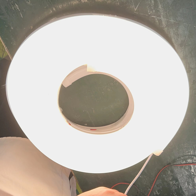 12V Silicone LED Neon Light Strip Lighting Cuttable 6000K Daylight Alert Flex LED Neon Rope Light for Indoor Outdoor Decoration