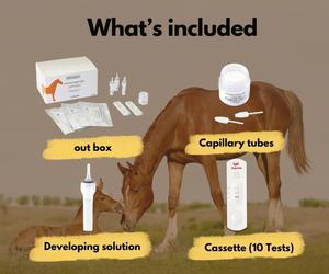 Kit de Prueba Rápida Veterinaria para la Detección de Inmunoglobulina G (IgG) en Potros, Kit de Prueba de Calostro Equino y Sangre para Animales - Product Image 1