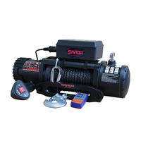 Treuil électrique de levage d'une tonne 12V 24V, hauteur de levage 10m, télécommande, grue de construction domestique pour la décoration automobile