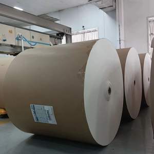 Carton non imprimé de haute qualité 320 GSM en rouleau jumbo, pour la fabrication de gobelets, matière première pour l'alimentation et l'usage industriel - Product Image 5