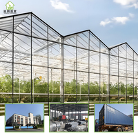 Serres agricoles multi-spans en verre de type Venlo à prix de gros pour la culture de tomates