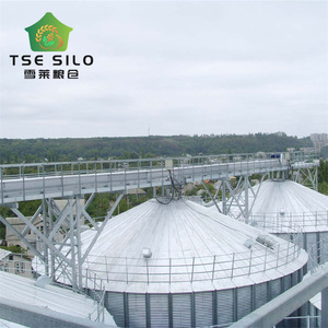 Bền 5 t/h-100 t/h chuỗi băng tải kéo chuỗi băng tải cho gạo trang trại - Product Image 3