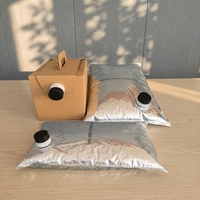 Sac BIB aseptique jetable de 96 OZ pour jus, vin, sirop de café