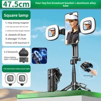 2025 P15Mini-C Portable Selfie Stick Trépied À Distance Nouveau Mini Équipement De Diffusion En Direct En Alliage D'aluminium Support De Téléphone Magnétique Durable