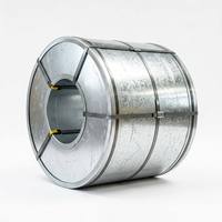 Bobine de tôle galvanisée Z100 Z120 Z275 avec couche de zinc, poids personnalisé, fournisseur Chine