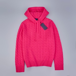 Pull en tricot à capuche pour femme, hiver 2025, avec broderie torsadée - Product Image 3