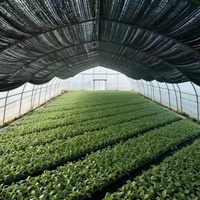 HDPE Zwart Buitenzonwering Net - Winddicht, Milieuvriendelijk, UV-bescherming, Landbouwzonwerend Doek voor Tuin & Boerderij Gebruik
