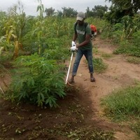 Désherbeuse Agricole Dorsale Portative