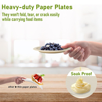 Assiettes jetables en bagasse de canne à sucre ultra-résistantes et compostables EcoFest Exclusive pour le camping
