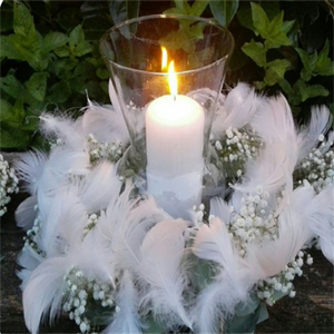 <span class=keywords><strong>Dr</strong></span> Blauwe Ganzenveer Voor Kunst Ambacht Diy Pen Vleugel Hoofdtooi Feest Carnaval Kostuum Hoed Haar Accessoire Halloween Home Xmas Decor - Product Image 5