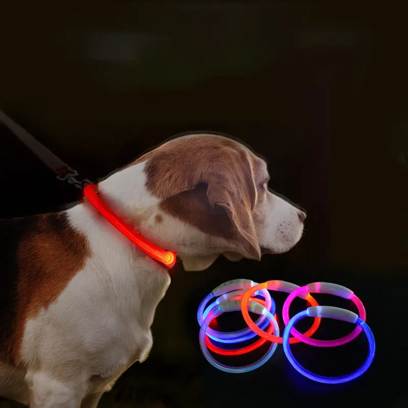 Il collare per cani ricaricabile a LED USB illumina i collari per cani resistenti all'acqua