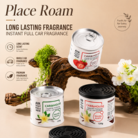 Désodorisant solide pour voiture, parfum longue durée, diffuseur d'arômes, éliminateur d'odeurs, aromathérapie automobile