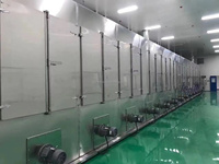 Senven Automatische Doorlopende Mesh Band Droger Machine Energiebesparing Voor Groenten Fruit Motor Gemaakt Ti Sus316l Voedselverwerking