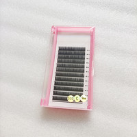 Plateau d'extensions de cils en volume pour la vente en gros, Courbures C D CC DD, 0.03 0.05, 8-15mm, Cils naturels longs, volumineux et de haute qualité