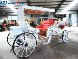Carruajes de Caballos Blancos de Lujo para Bodas y Turismo, Carruajes de Caballos de Alta Calidad para Lugares Turísticos en Venta - Product Image 6