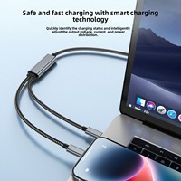 2-in-1 Typ-C zu Typ-C 100W 5A Schnellladekabel aus Reinkupfer und Nylon für Mobiltelefone, Autos und Drucker