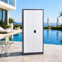 Armoire de classement en acier KD démontable, meuble de rangement métallique, mobilier de bureau, couleur personnalisée, vente en gros