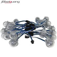 Lampes à points LED WS2811, adressables, IP65, corps en PVC de 26 mm, DC12V, pour décorations de parcs d'attractions