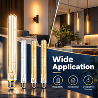 OEM / ODM disponible Vintage Long filament LED ampoule à filament tubulaire 4W E27 220V T30L sans scintillement LED filament ampoule CE