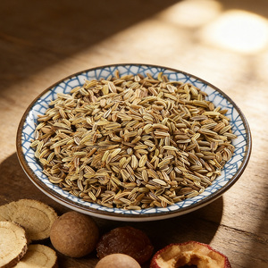 Graines <span class=keywords><strong>de</strong></span> fenouil salées, directement <span class=keywords><strong>de</strong></span> l'usine, pour réchauffer les reins, éliminer le froid, soulager la douleur et assaisonner les plats mijotés - Product Image 2
