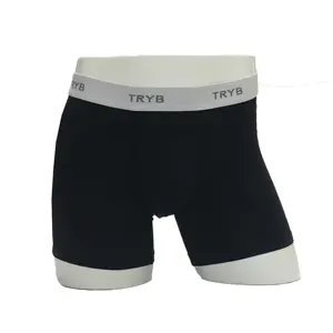 Wholesale Men Boxers Breathable Underwear Men Sexy Nylon Briefs Men Custom Young Boys Shorts Underwear