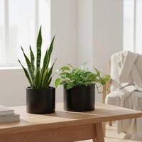 Pot de fleurs cylindrique moderne de 5 à 7 pouces, pots de plantes d'intérieur, drainage robuste, bouchons en caoutchouc amovibles, noir mat (lot de 2)