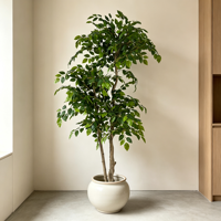 Arbre artificiel Polyscias de 160 cm, plante bonsaï réaliste, verdure artificielle pour la décoration intérieure de la maison et du jardin