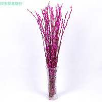 Nouvel An : Fleurs de Saule Argenté Naturelles, Tiges Fraîches, Résistantes au Froid, Options Hydroponiques et Séchées, Fleurs Toutes Saisons, Chine
