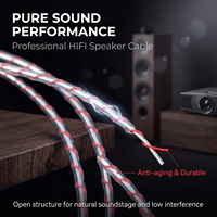 Cable de Altavoz YIVO XSSH FP-603 HIFI, Cable de Alta Fidelidad de Estructura Abierta, Baja Interferencia, Antienvejecimiento, Chapado en Plata 4N OFC, Cable a Granel para DIY OEM