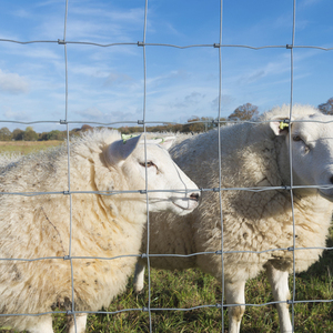 Veldspan ferme champ clôture galvanisé charnière joint bovins clôture mouton et chèvre clôture treillis métallique <span class=keywords><strong>moins</strong></span> <span class=keywords><strong>cher</strong></span> - Product Image 5