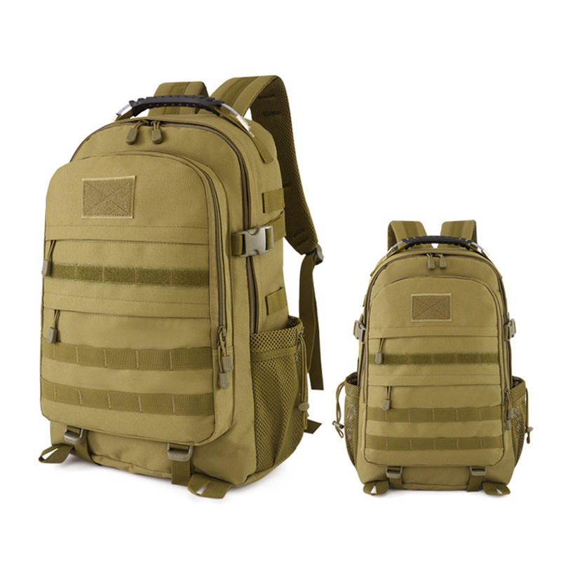 สีดำสีกากี