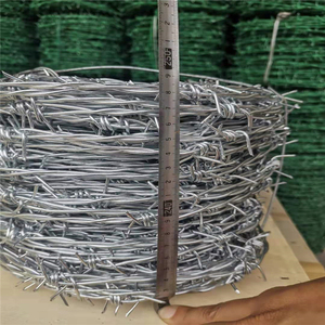 Alambre de Púas Galvanizado Electrolítico de Calidad Coreana, Rollo de 25 cm de Diámetro, Anticorrosión, 12 kg, Alambre de Hierro para Cercas de Seguridad - Product Image 6